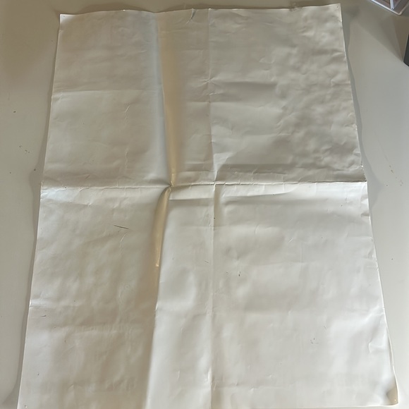 Rachel Ballinger Signed Poster - Picture 3 of 6